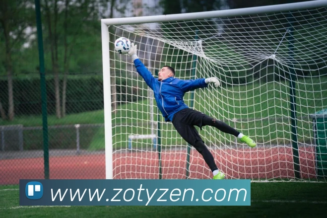 中欧体育平台生态图